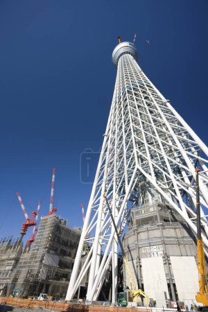 El árbol del cielo de Tokio en construcción