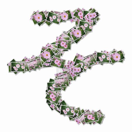 Téléchargez les photos : Hiéroglyphe japonais fait de cartes à jouer avec des fleurs roses - en image libre de droit