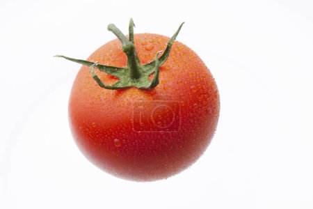 Foto de Tomate orgánico rojo maduro fresco sobre fondo blanco. - Imagen libre de derechos