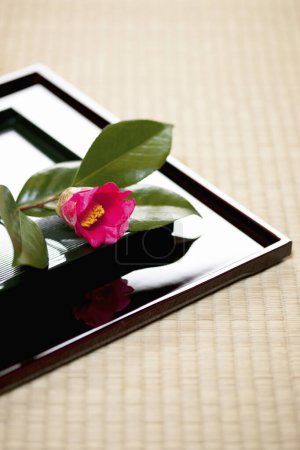 Téléchargez les photos : Une fleur assise sur une table avec un reflet - en image libre de droit