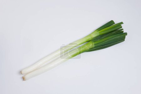 Téléchargez les photos : Un bouquet d'oignons verts sur une surface blanche - en image libre de droit