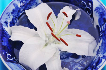 Téléchargez les photos : Une fleur blanche dans un bol bleu sur une table bleue - en image libre de droit