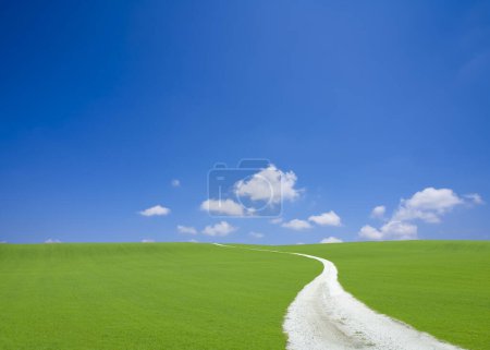 Photo for Green grass field and blue sky - Royalty Free Image