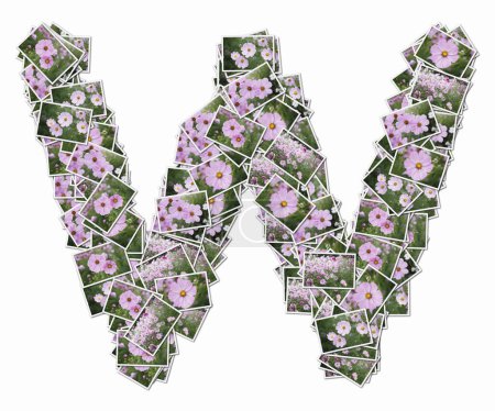 Téléchargez les photos : Symbole W fait de cartes à jouer avec des fleurs roses - en image libre de droit
