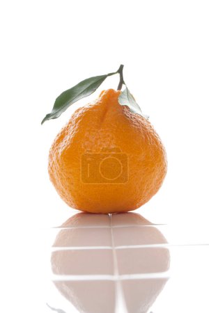 Téléchargez les photos : Mandarine mûre avec feuille sur blanc - en image libre de droit