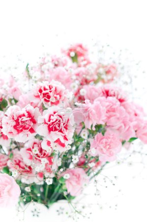 Téléchargez les photos : Bouquet de fleurs isolé sur fond blanc, tampon carte de vœux - en image libre de droit