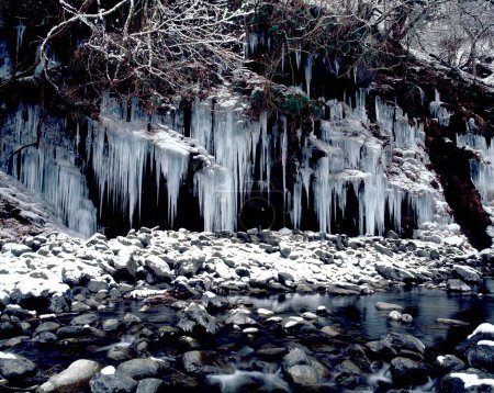 Foto de Hermoso paisaje con cascada congelada en el bosque - Imagen libre de derechos