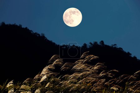 Téléchargez les photos : Une pleine lune est vue sur une colline herbeuse - en image libre de droit