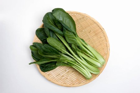 Photo for Japanese Mustard Spinach,komatsuna vegetables - Royalty Free Image