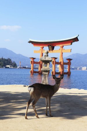 Miyajima, Hiroshima, Japan am schwimmenden Tor des Itsukushima-Schreins