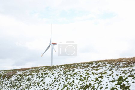 Foto de Molinos de viento en el campo - Imagen libre de derechos