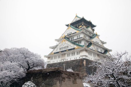 Téléchargez les photos : Château d'Osaka et neige, Japon - en image libre de droit