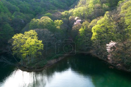 Téléchargez les photos : Belle vue sur la rivière dans les montagnes - en image libre de droit