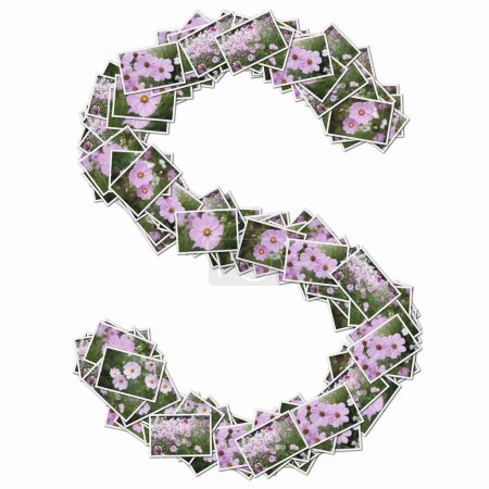 Foto de Símbolo S hecho de naipes con flores rosas - Imagen libre de derechos