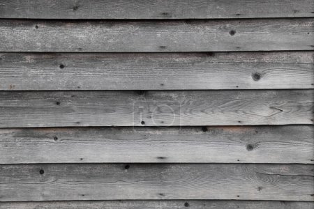 Photo for Gray wooden background. old gray wooden texture. - Royalty Free Image