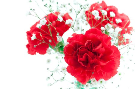 Téléchargez les photos : Bouquet de fleurs isolé sur fond blanc, tampon carte de vœux - en image libre de droit