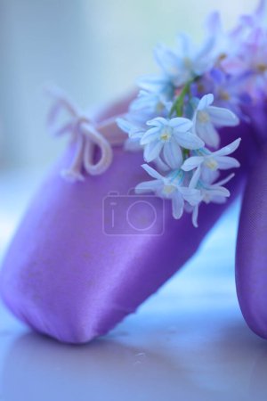 Foto de Zapatos y flores de ballet lila y púrpura - Imagen libre de derechos