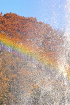 Téléchargez les photos : Arc-en-ciel en automne vue parc - en image libre de droit