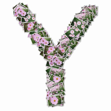 Téléchargez les photos : Symbole Y fait de cartes à jouer avec des fleurs roses - en image libre de droit