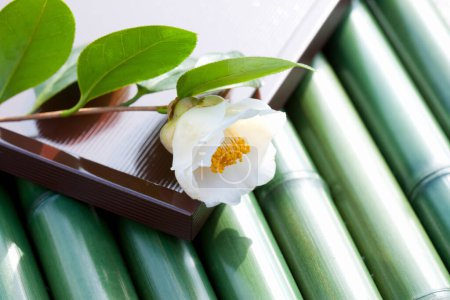 Téléchargez les photos : Vue rapprochée de la fleur blanche avec bambou - en image libre de droit