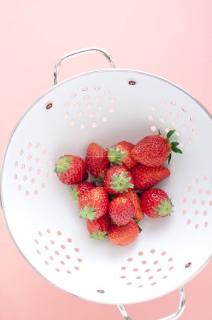 fresh strawberries close up isolated on pink