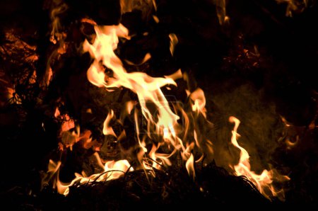 Photo for Burning fire flames on black background - Royalty Free Image