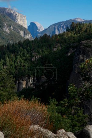Photo for Beautiful Landscape of mountains, forests, and valley in Yosemite National Park, California, United States - Royalty Free Image