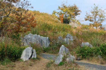 Foto de Hermosa vista de las rocas en el Parque Nacional Akiyoshidai - Imagen libre de derechos