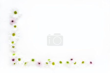 Foto de Marco de flores tiernas aisladas sobre fondo blanco - Imagen libre de derechos