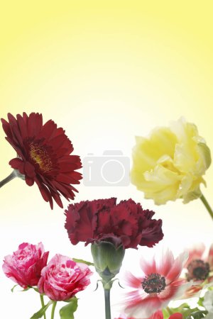 Photo for Floral background with summer flowers - Royalty Free Image