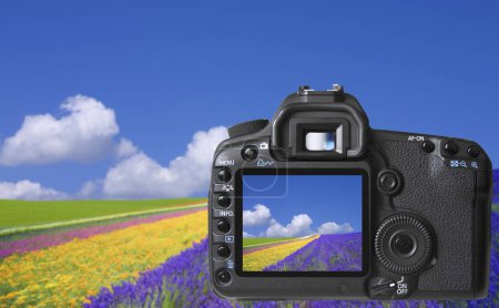 Foto de Cámara fotográfica con un cielo azul y nubes sobre un prado de flores - Imagen libre de derechos