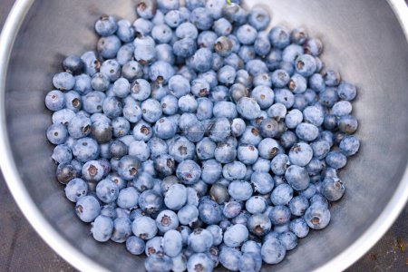 Photo for A bowl of blueberries sitting on a table - Royalty Free Image