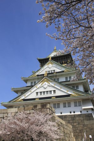 Photo for Osaka castle with cherry blossom. Japanese spring beautiful scene ,Osaka,Japan - Royalty Free Image
