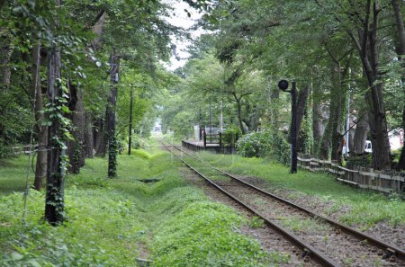Téléchargez les photos : Une voie ferrée dans une zone boisée avec des arbres - en image libre de droit