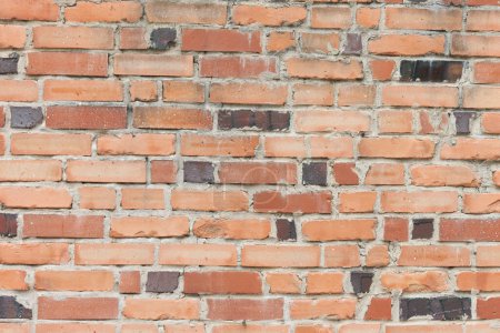 Téléchargez les photos : Un mur de briques avec une bouche d'incendie devant lui - en image libre de droit