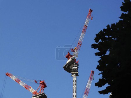 Photo for Construction site with cranes and blue sky - Royalty Free Image