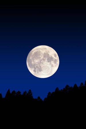 Téléchargez les photos : La lune dans la nuit - en image libre de droit