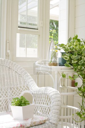 Foto de Hermoso diseño interior de una sala de estar con plantas verdes en la olla - Imagen libre de derechos
