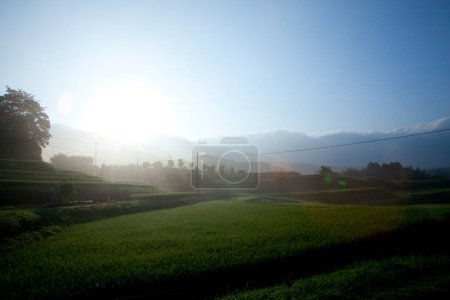 Téléchargez les photos : Beau paysage de campagne avec champ vert et montagnes pittoresques le matin - en image libre de droit