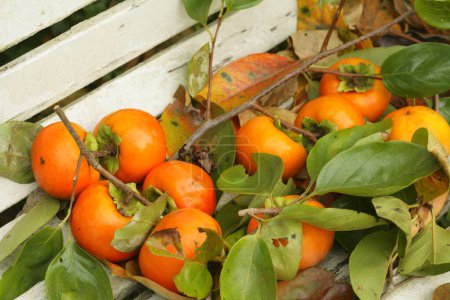 Foto de Primer plano de frutas frescas de caqui con hojas verdes - Imagen libre de derechos