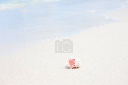 Téléchargez les photos : Belle plage tropicale vue arrière-plan - en image libre de droit