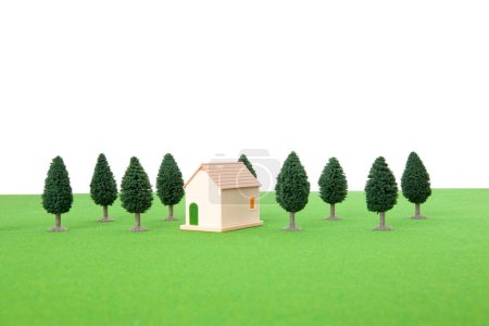 Téléchargez les photos : Modèle de maison avec herbe verte et arbres - en image libre de droit