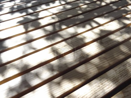 Photo for Wooden floor with tree shadow - Royalty Free Image