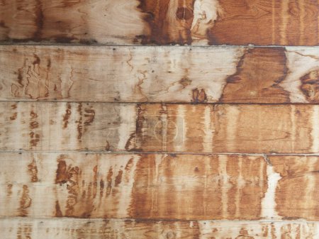 Photo for Wood texture, wood background - Royalty Free Image