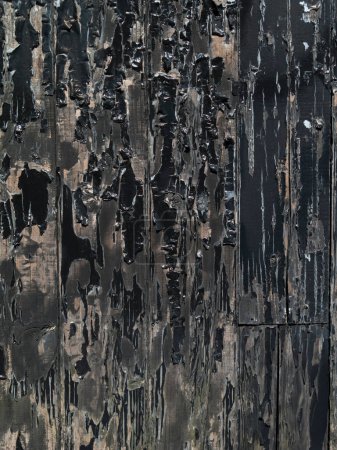 Foto de Textura de madera de fondo. tablones de madera fondo - Imagen libre de derechos