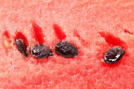 Photo for Watermelon close up background view - Royalty Free Image