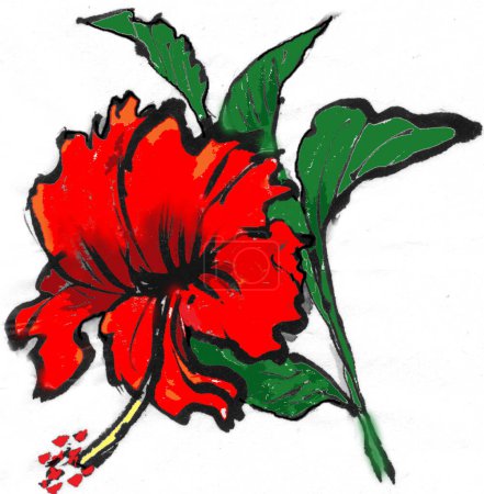Foto de Flor de hibisco rojo, acuarela ilustración - Imagen libre de derechos