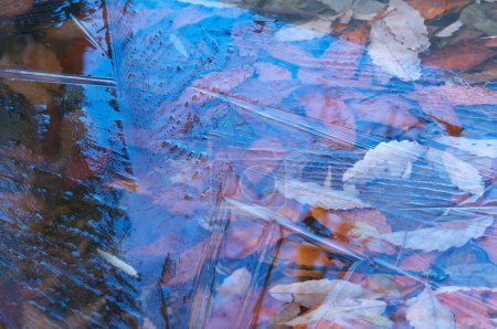 Téléchargez les photos : Texture de glace, lac gelé, fond abstrait - en image libre de droit