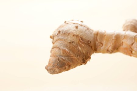 Photo for Ginger root close up background view - Royalty Free Image