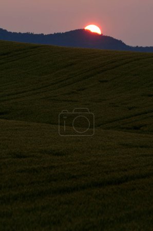 Foto de Puesta de sol en el campo con campo verde - Imagen libre de derechos